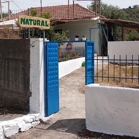 Natural Hostel Himare Exterior foto