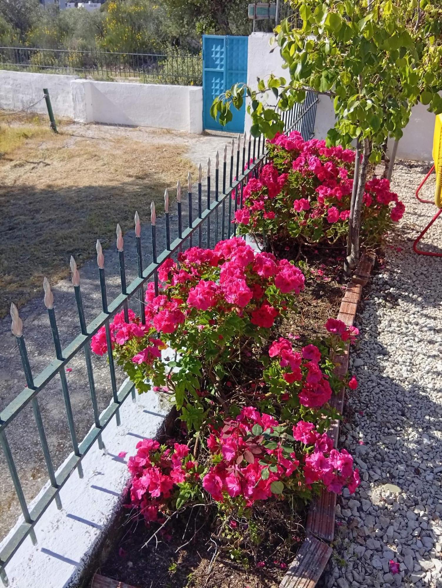 Natural Hostel Himare Exterior foto